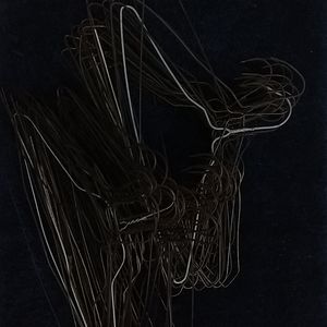 Metal hangers there are 61